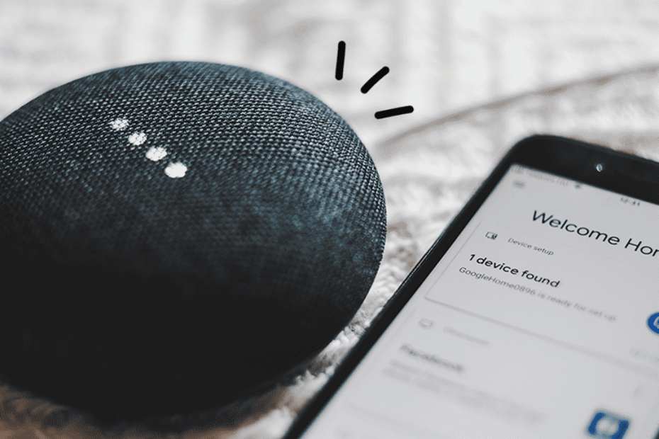 Can You Connect Alexa To Google Home App