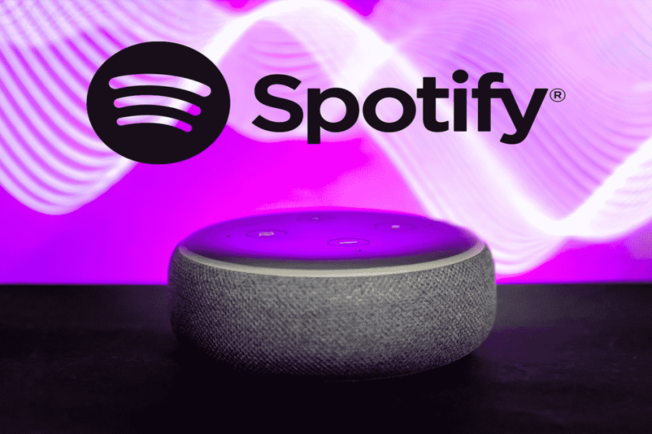 Can’t Link Spotify To Alexa