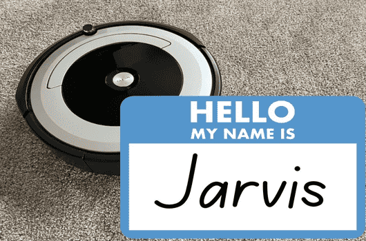 Creative and Unique Naming Ideas for Robot Vacuums