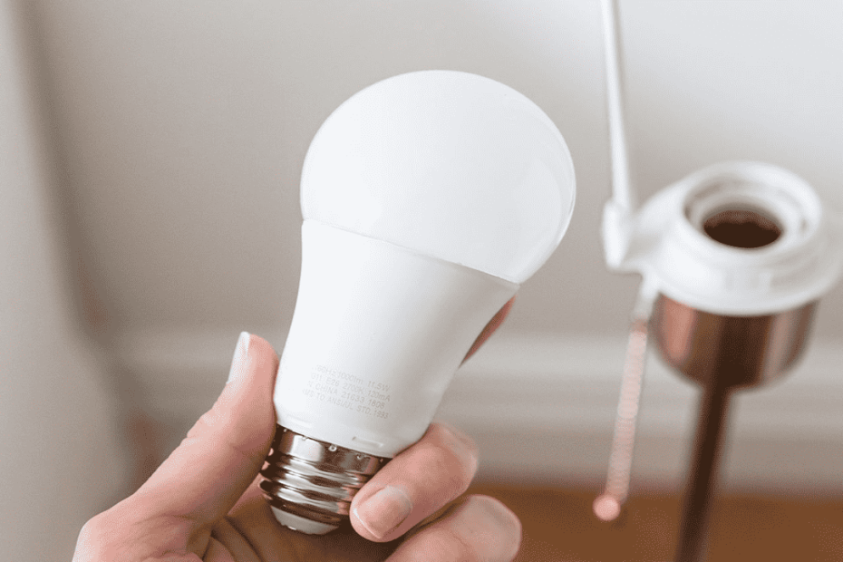 Discover the Location of Your Bulb with These Tips | Where’s Your Bulb Now