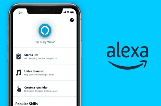 Integrating Blink Cameras with Alexa-Enabled Devices