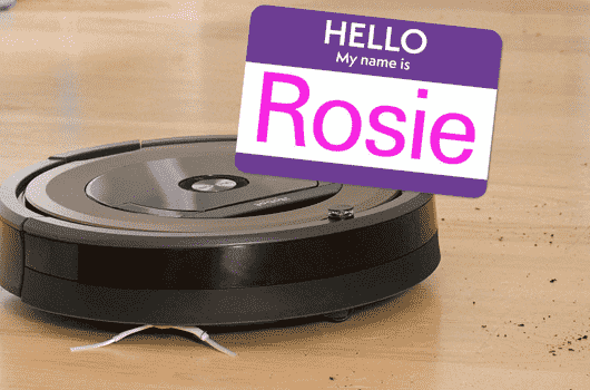 Popular Names for Robot Vacuums