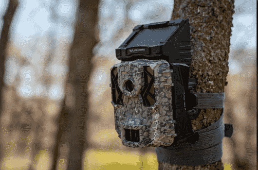 Recommendations for selecting the right trail camera for home security purposes