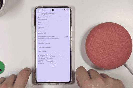 Updating the Software and Firmware of Your Google Home Mini