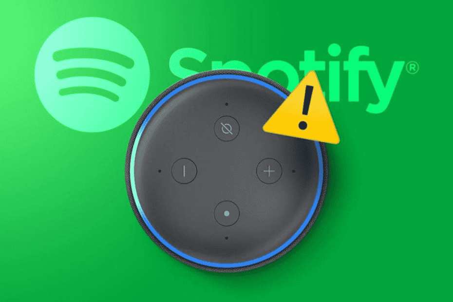 Why Won’t Alexa Play Spotify